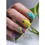 CCO esmalte semipermanente  6 piezas Selección de color - Rainbow Bridge - Regalo con margarita