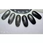 Cat Noir 04 gel polish 8 ml