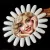¡Margareta Brilla!