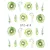 Pegatina de uñas de kiwi 1